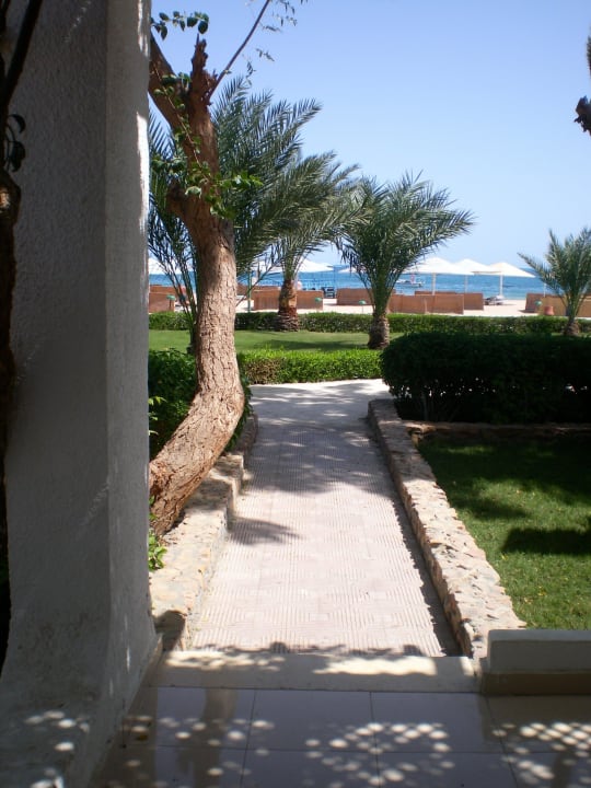 Ab zum Strand Menaville Safaga