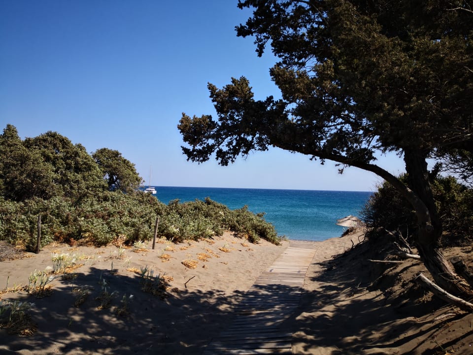Strand Atlantica Plimmiri