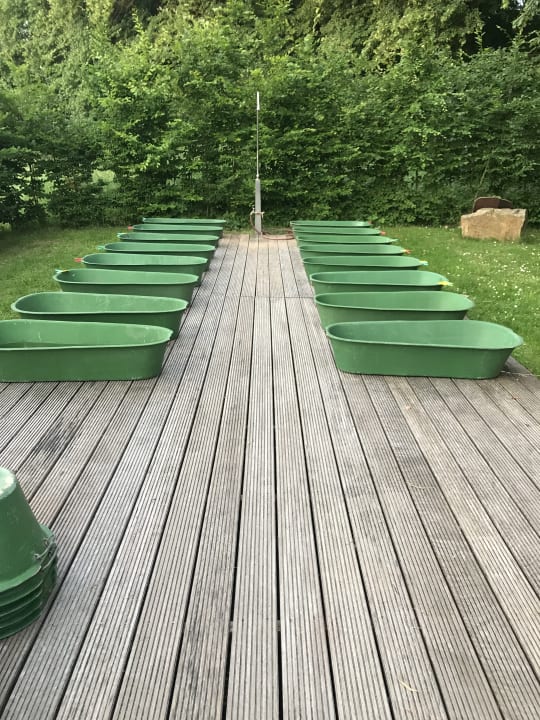 Sonstiges BollAnts Spa im Park