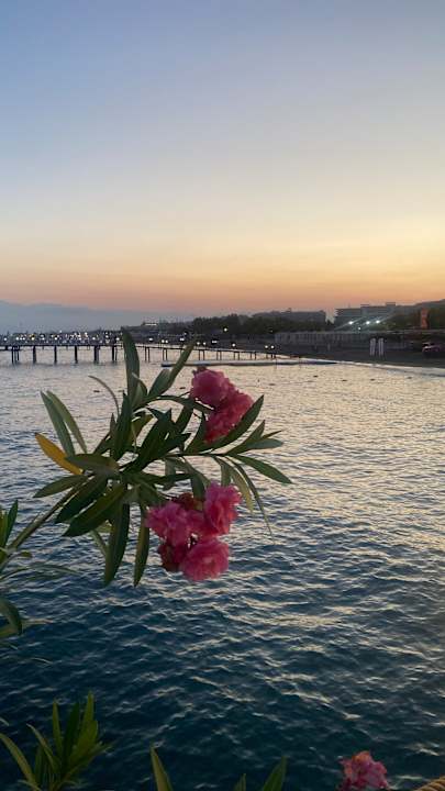 Strand Adalya Elite Lara