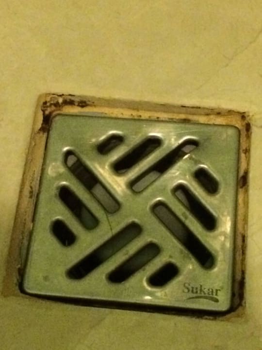 Dusche Abfluss dreckig und voller Schimmel Marvida Family Eco