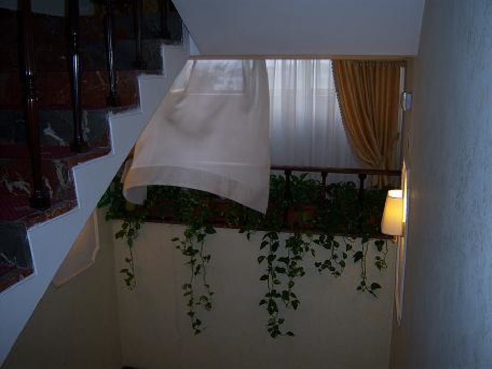 Treppenhaus Grand Hotel Hermitage