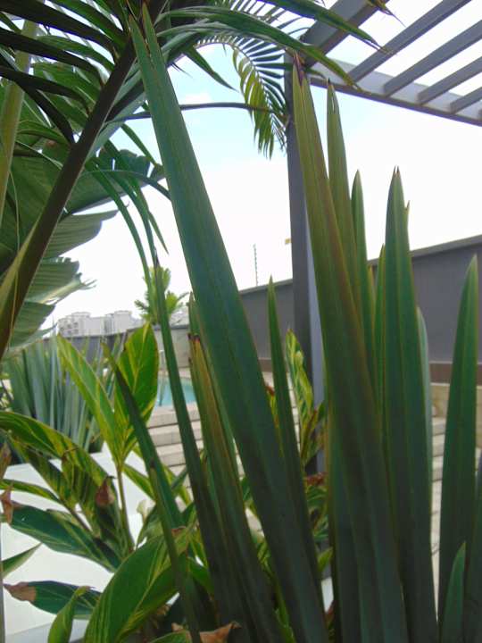 Gartenanlage Kozi Suites Nairobi Airport