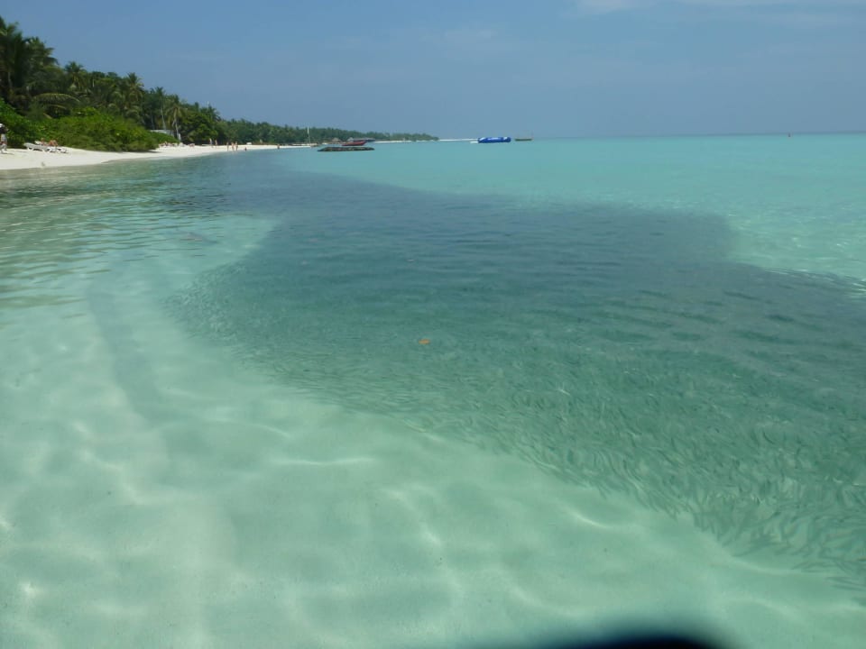 Riesiger Fischschwarm in der Lagune Kuramathi Maldives