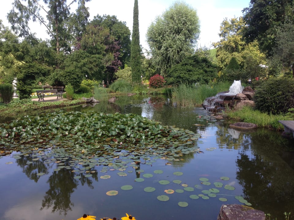 Gartenanlage Hotel Restaurant Rebstock Durbach