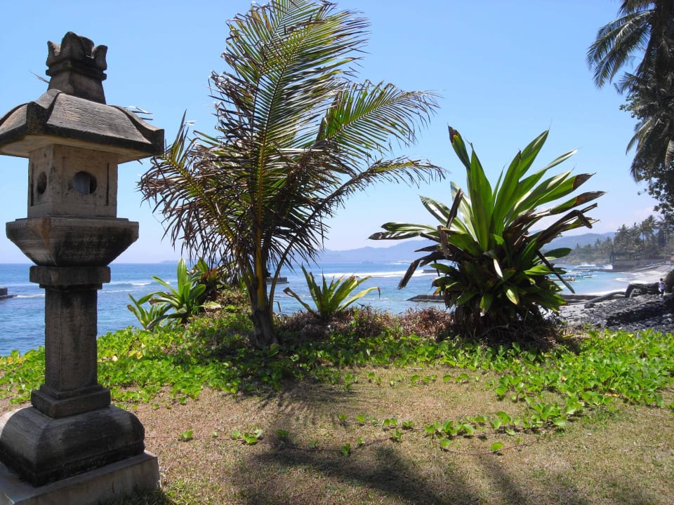 Gartenanlage Lotus Bungalow