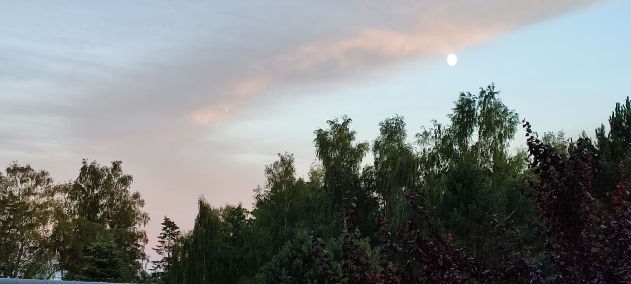 Ausblick Ferienpark Heidenholz