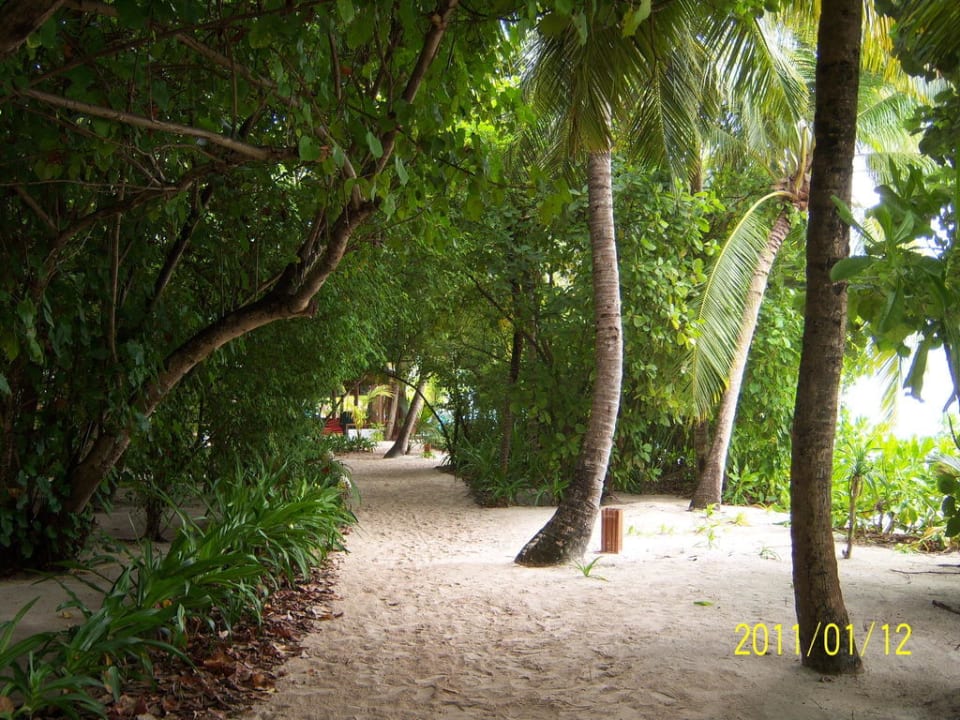 Sehr gepflegter Garten NH Collection Maldives Reethi Resort