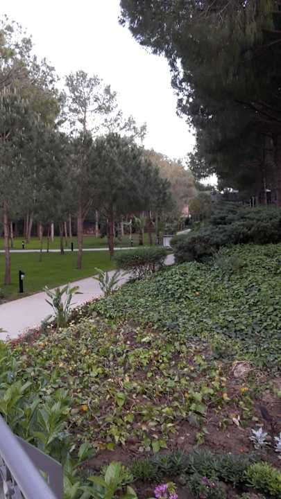 Garten Balmy Foresta