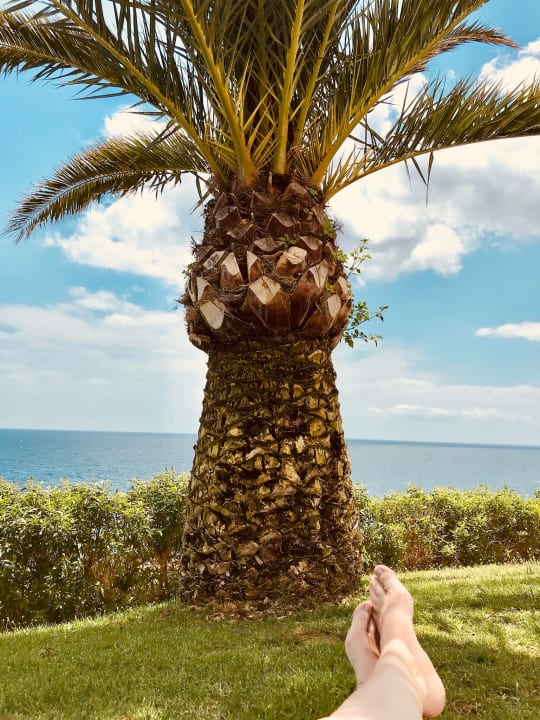 Ausblick blau punta reina