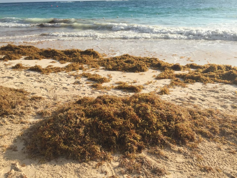 Meeralgen Punta Cana Princess All Suites Resort & Spa