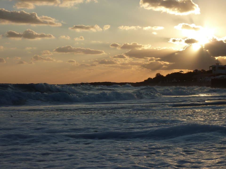 Wildes Meer Annabelle Beach Resort