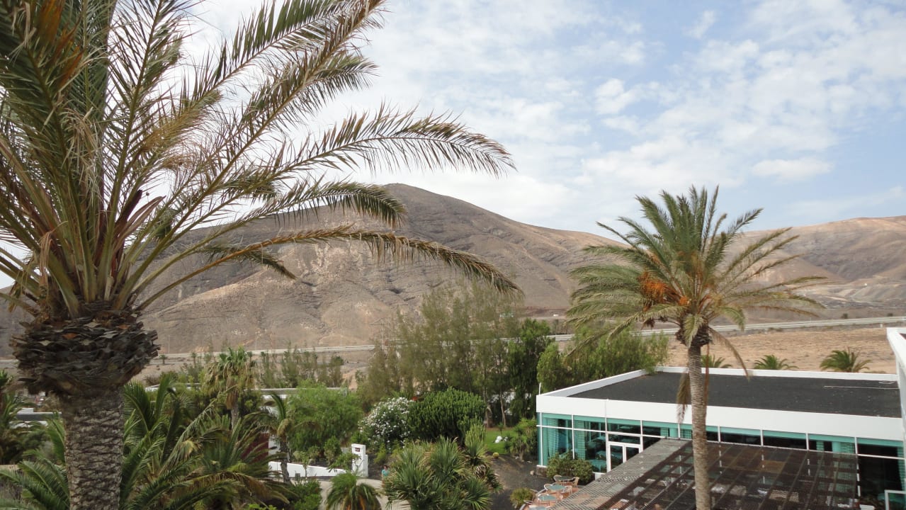 Ausblick von der Dachterrasse allsun App.-Hotel Esquinzo Beach