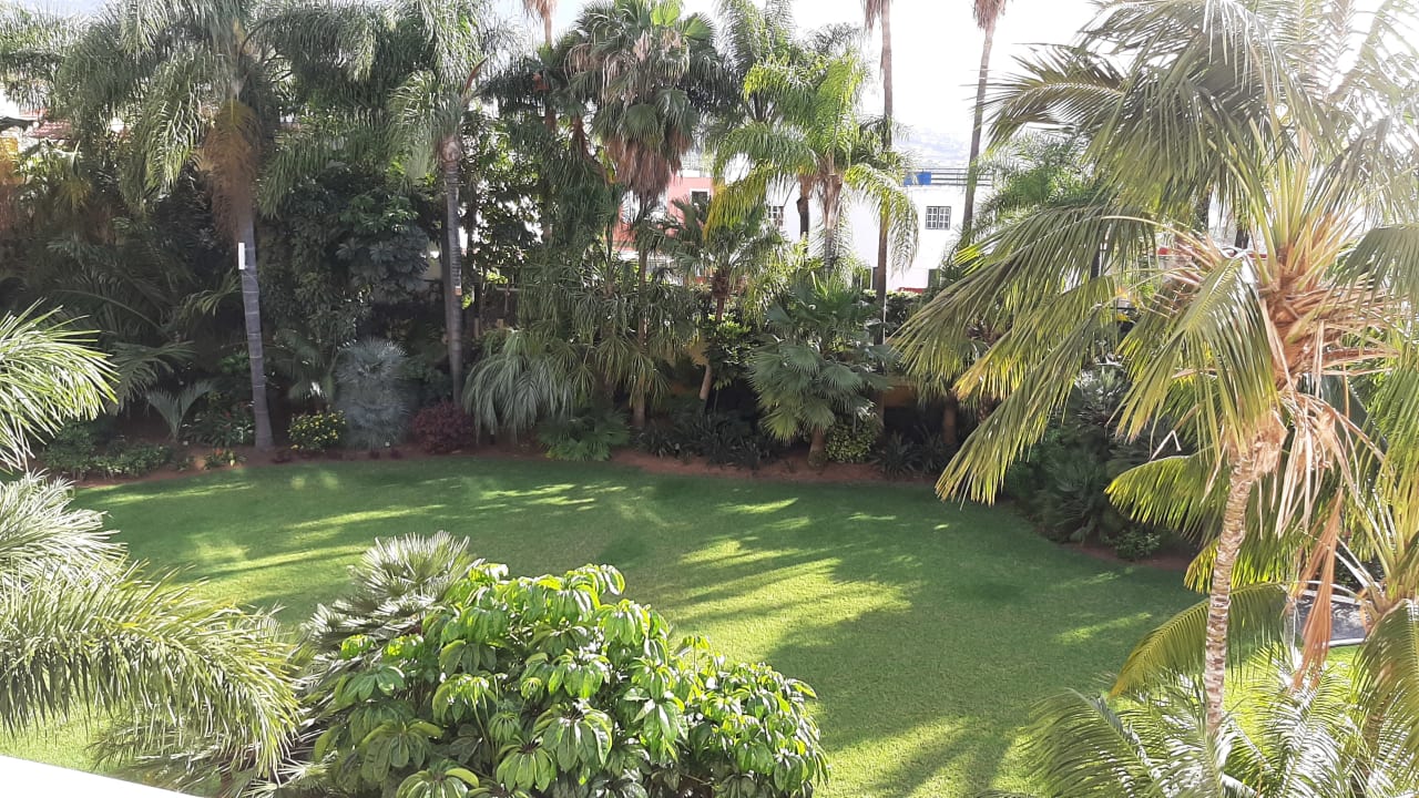 Gartenanlage Hotel Tigaiga
