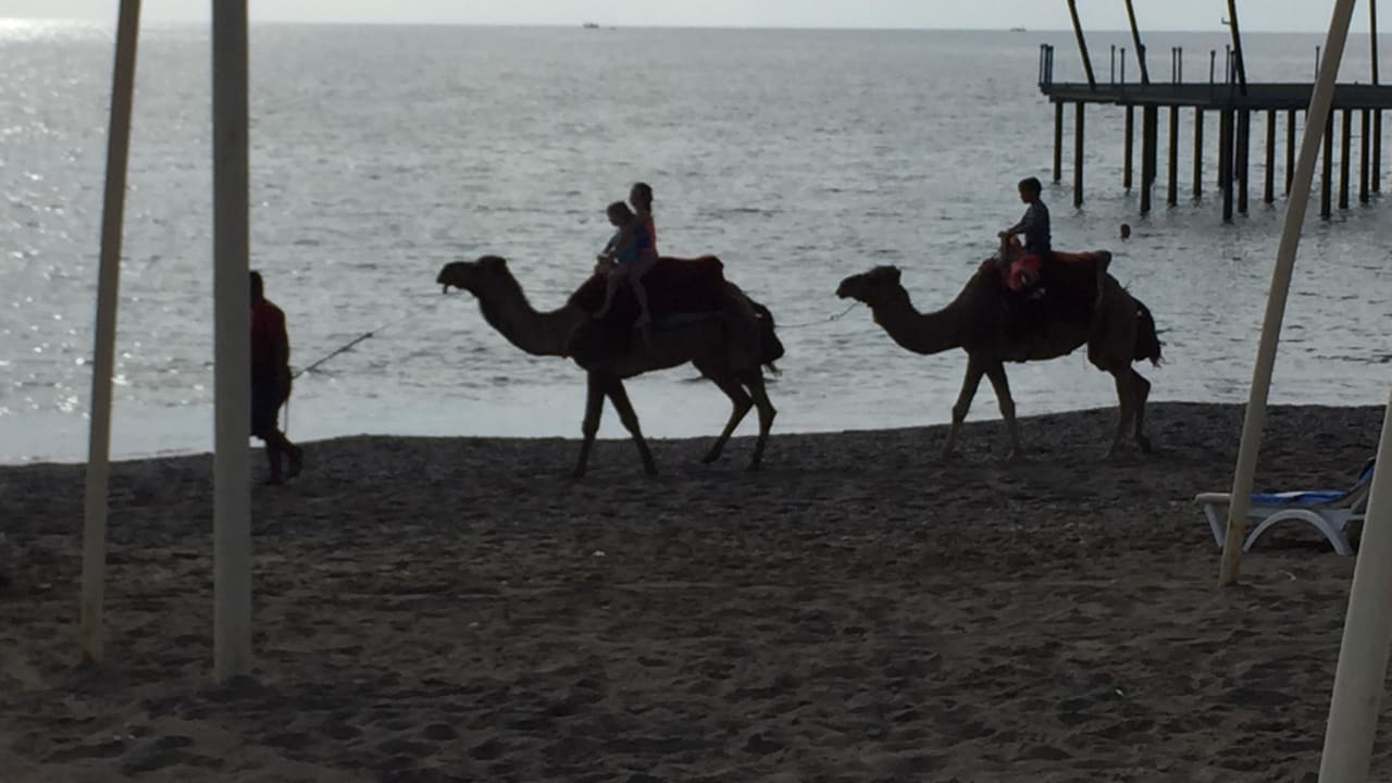 Stranderlebnis Seaden Sea World Resort & Spa