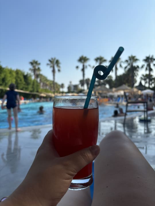 Pool Hane Family Resort