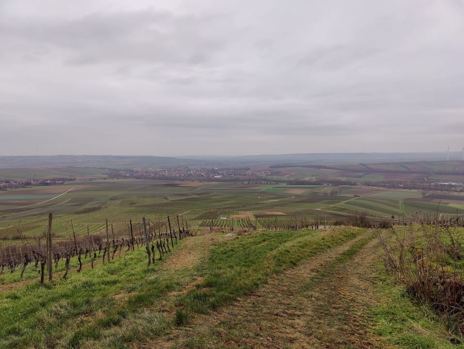 Ausblick Hofgut Wißberg - Das Weinberghotel