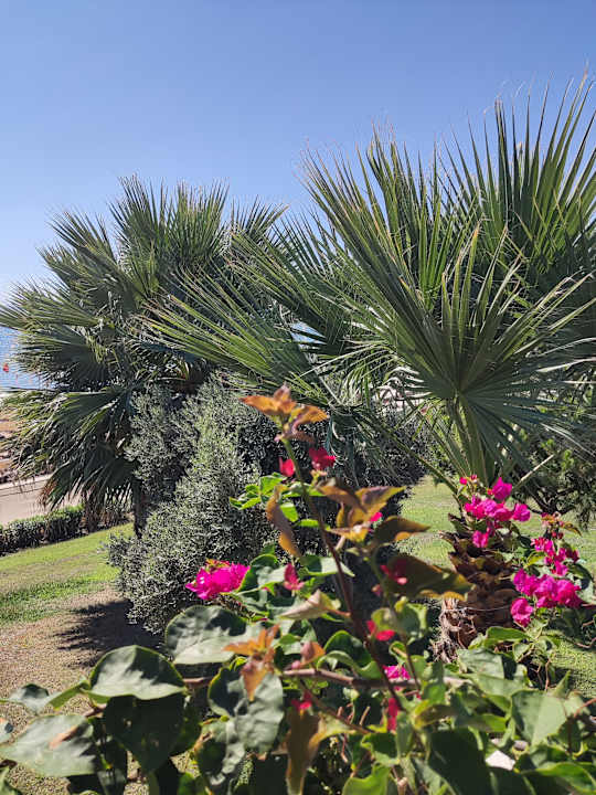 Ausblick Can Garden Resort