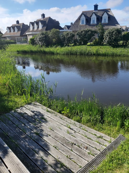 Pool Villaparc Duynopgangh