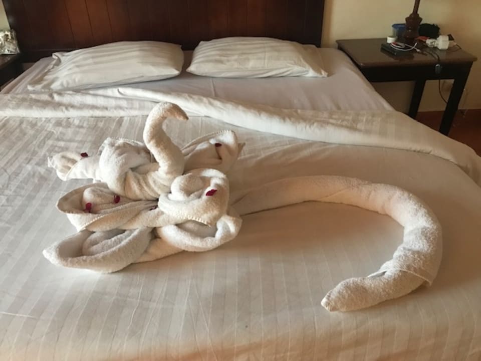 Zimmer Three Corners Sea Beach Resort