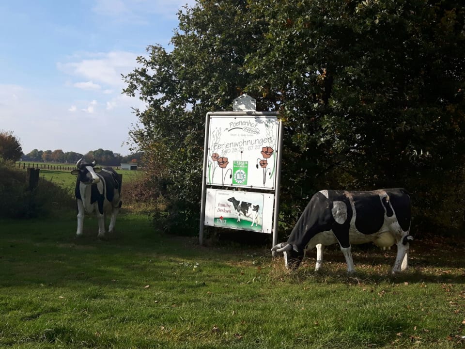 Sonstiges Poenenhof