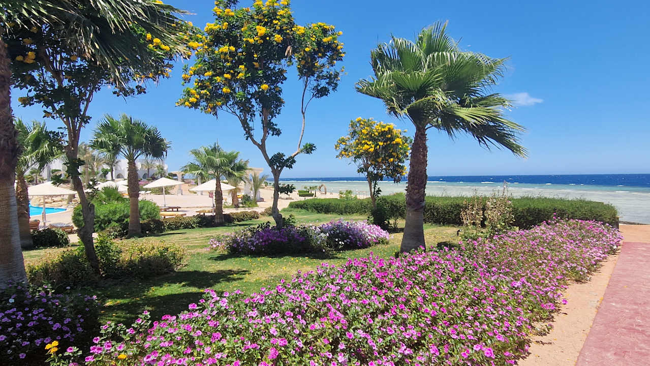 Gartenanlage Three Corners Equinox Beach Resort