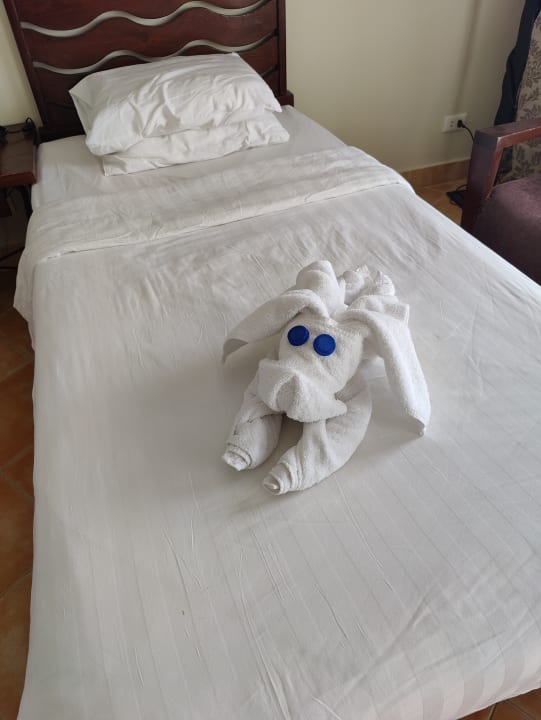 Zimmer Hotel Three Corners Ocean View prestige - Adults only