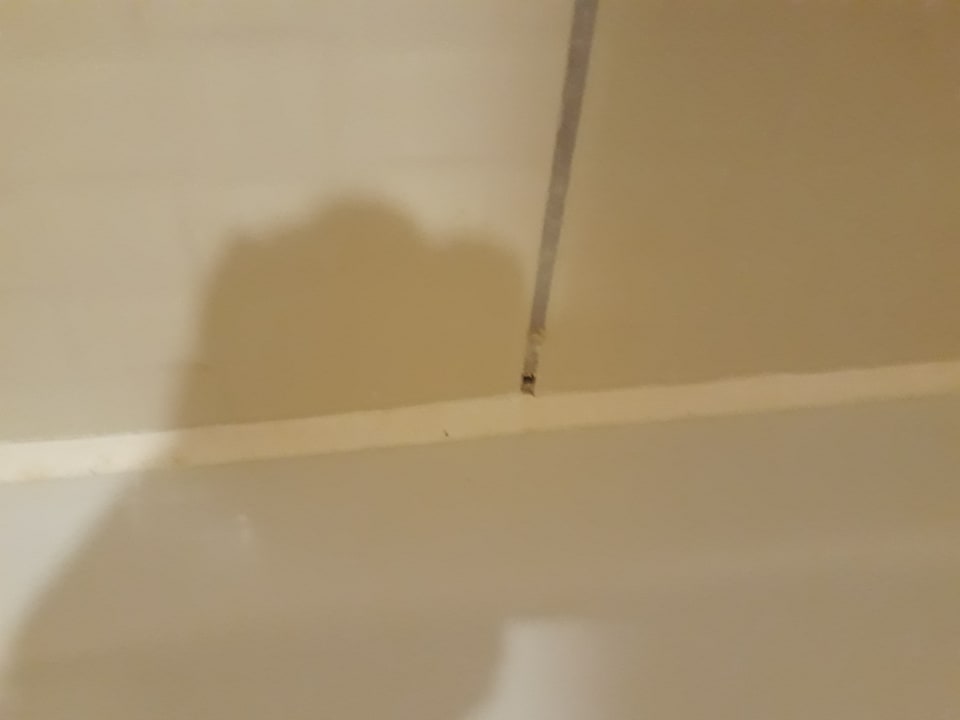 Zimmer Starlight Resort Hotel