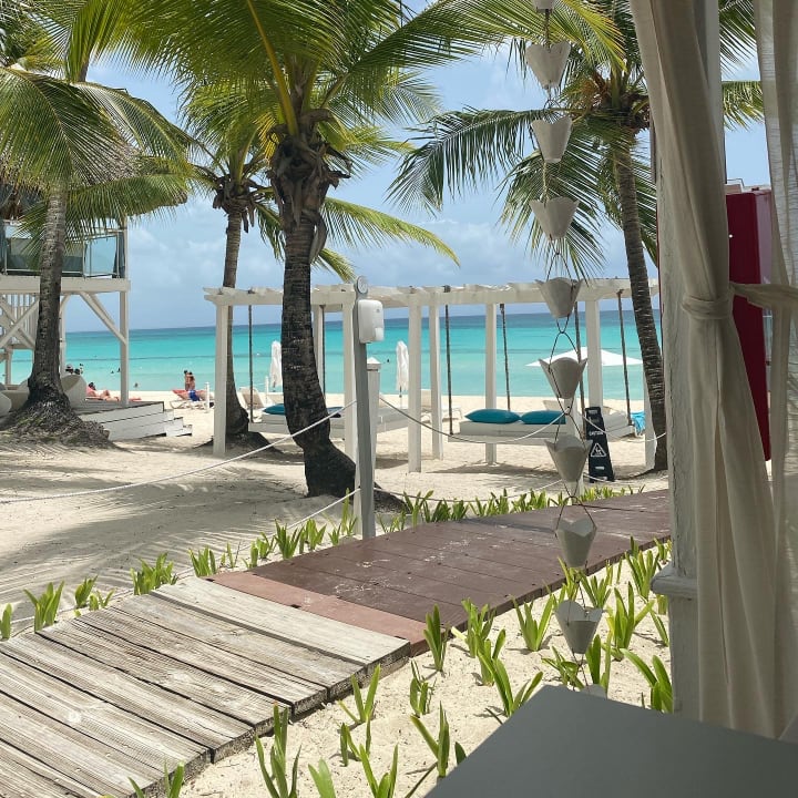 Strand Catalonia Royal La Romana - Adults only