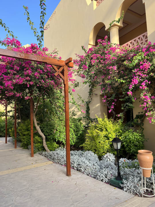 Gartenanlage Steigenberger Coraya Beach - Adults only