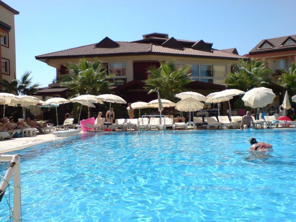 Pool mit blick zur Poolbar Hotel Orfeus Park