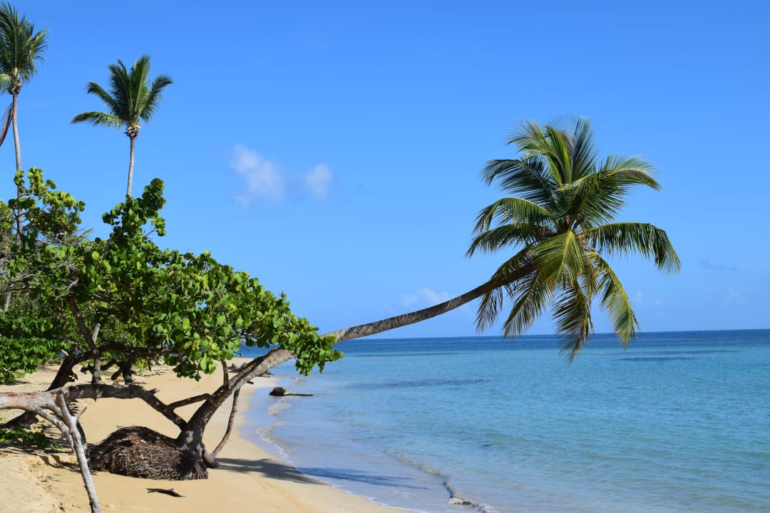 Strand Bahia Principe Grand El Portillo