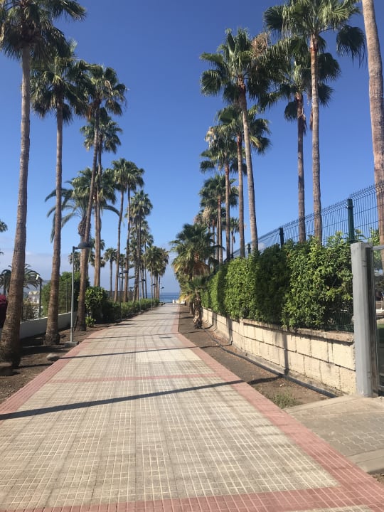 Außenansicht Hotel Riu Arecas - Adults only