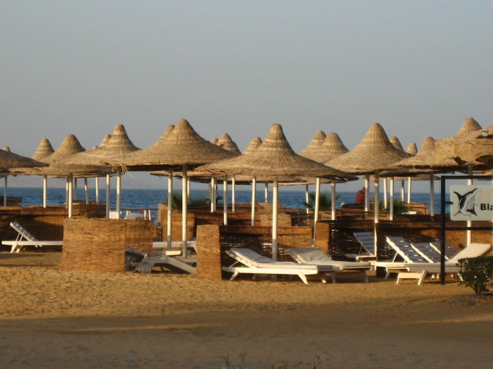 Вид на пляж Ali Baba Palace Resort