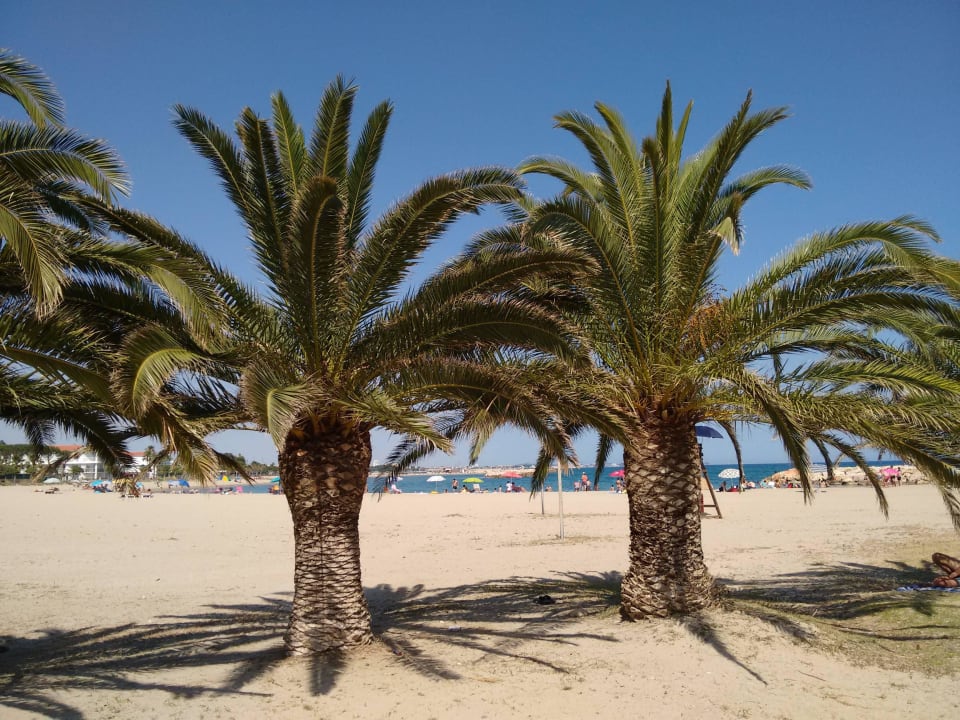 Direkt am Hotel ist das Meer Estival ElDorado