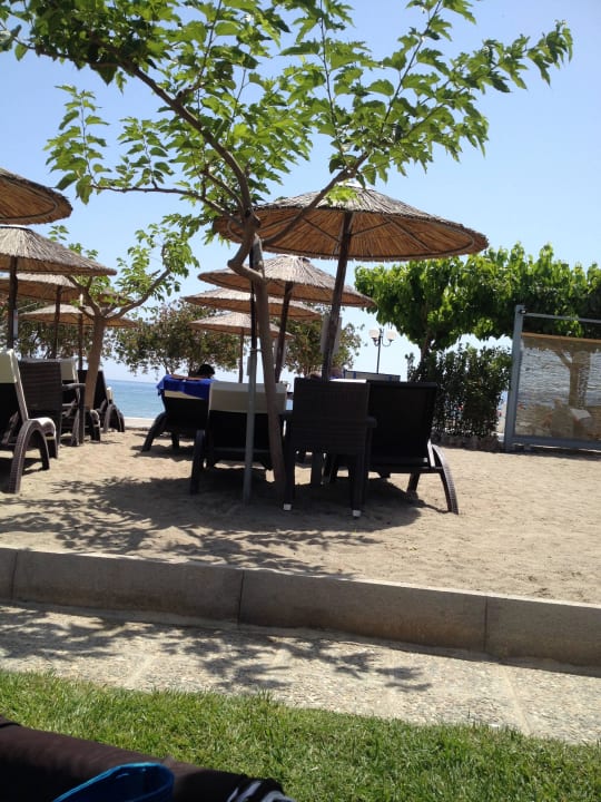 Schöne Liegen mit Polster Corissia Beach Hotel