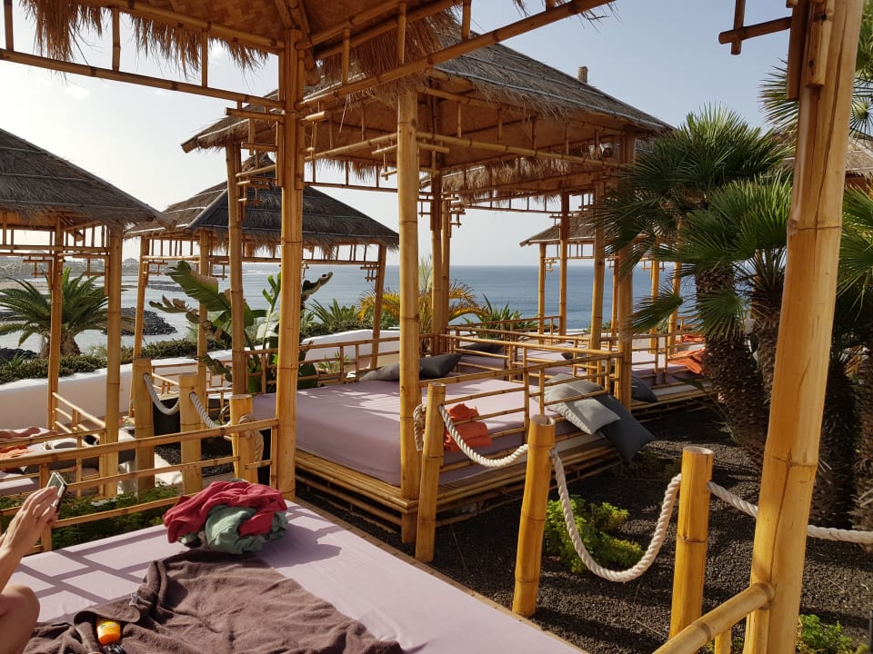 Gartenanlage Dreams Jardín Tropical