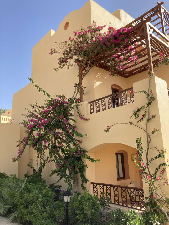 Gartenanlage Steigenberger Coraya Beach - Adults only