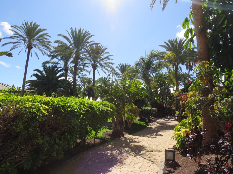 Gartenanlage R2 Rio Calma Hotel & Spa & Conference