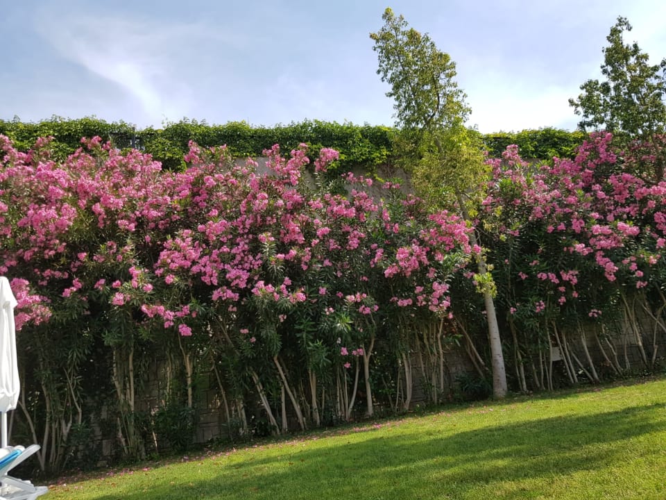 Gartenanlage Side Mare Resort & Spa