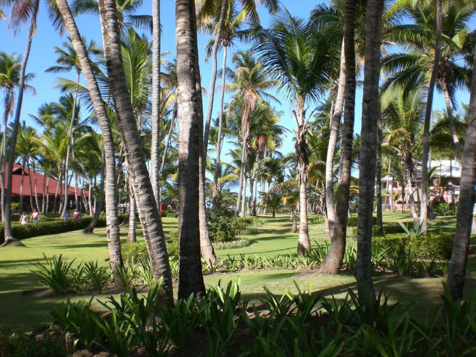 Garten Grand Palladium Select Bávaro Resort & Spa