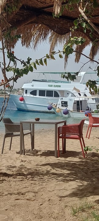 Gastro Fort Arabesque Resort, Spa & Villas