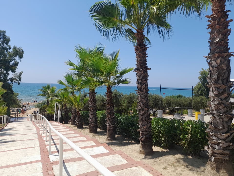 Ausblick Alba Resort Hotel