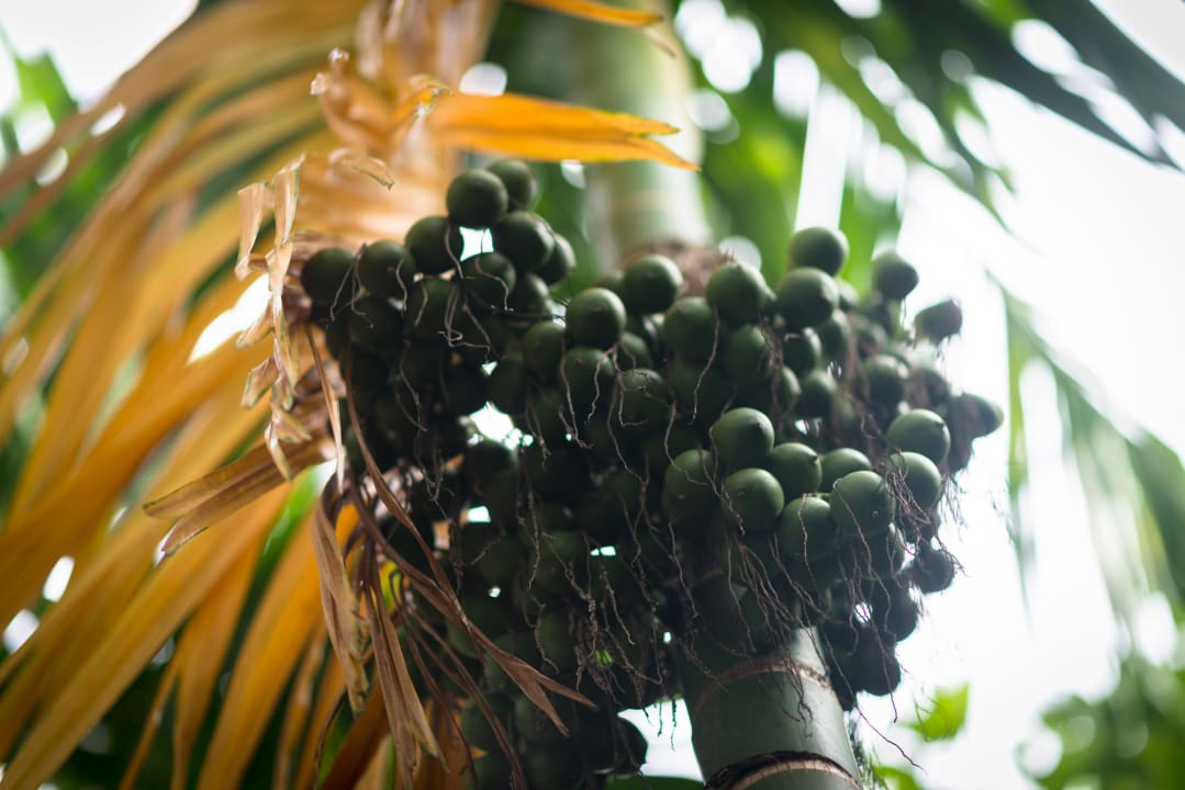 Gartenanlage Sokkhak Boutique Resort