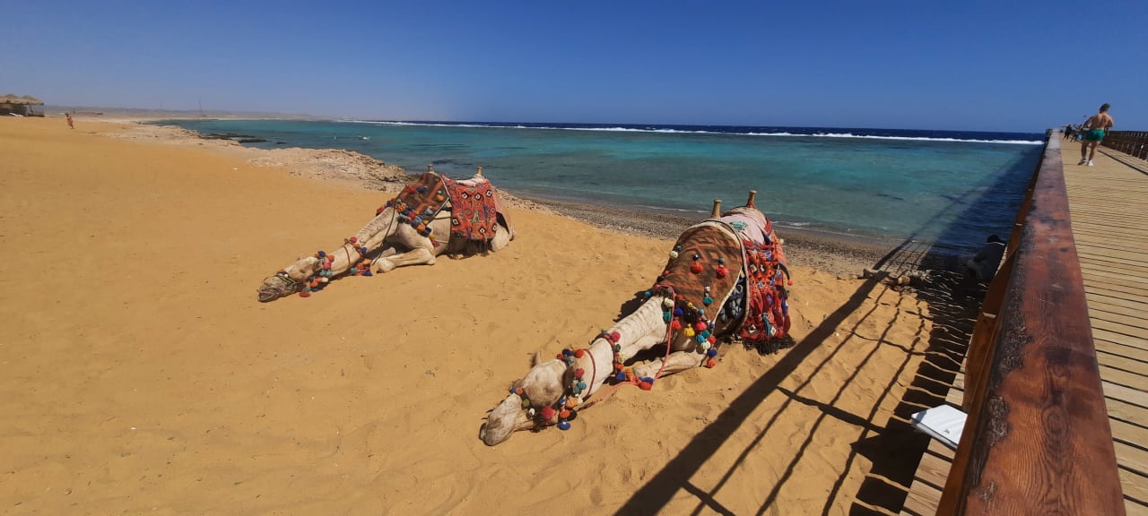 Strand Lazuli Hotel Marsa Alam