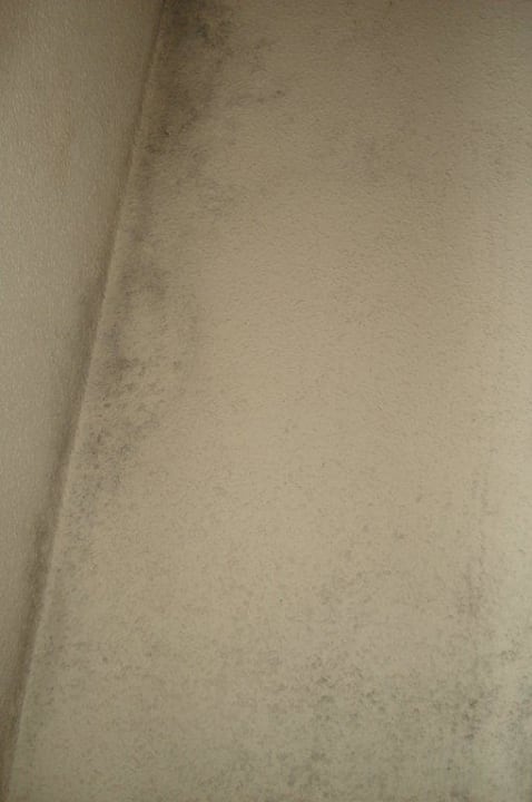 Schimmel hinter dem Schrank Ahoi! Urban Beach Hotel