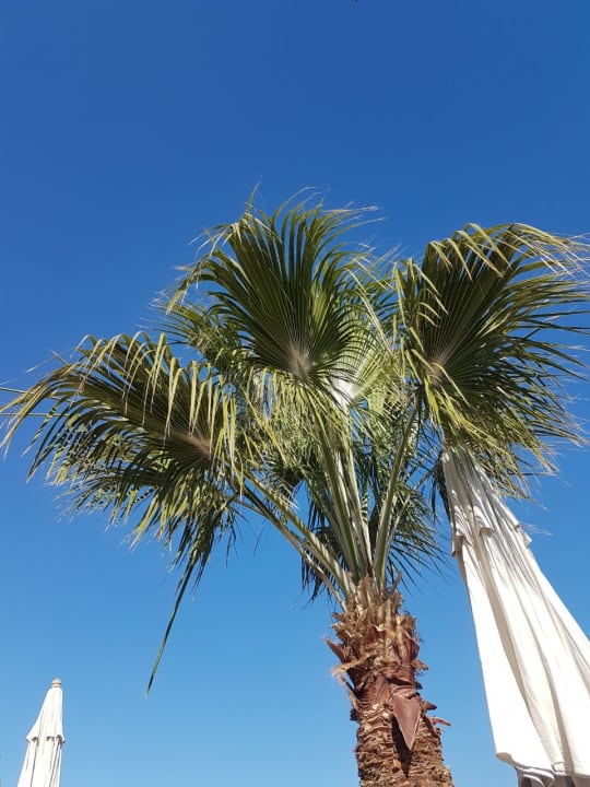Palme Bella Vista Resort Hurghada