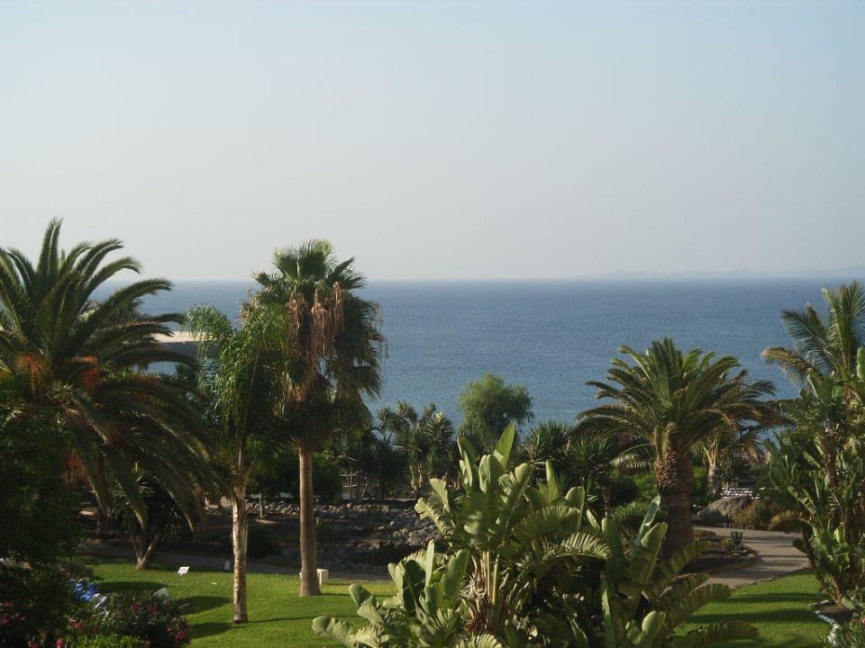 Ausblick vom Balkon Dreams Lanzarote Playa Dorada Resort & Spa