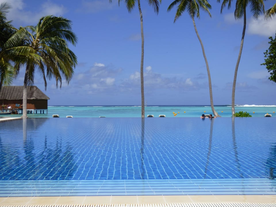 Toller Ausblick über den Pool und das Meer Meeru Maldives Resort Island