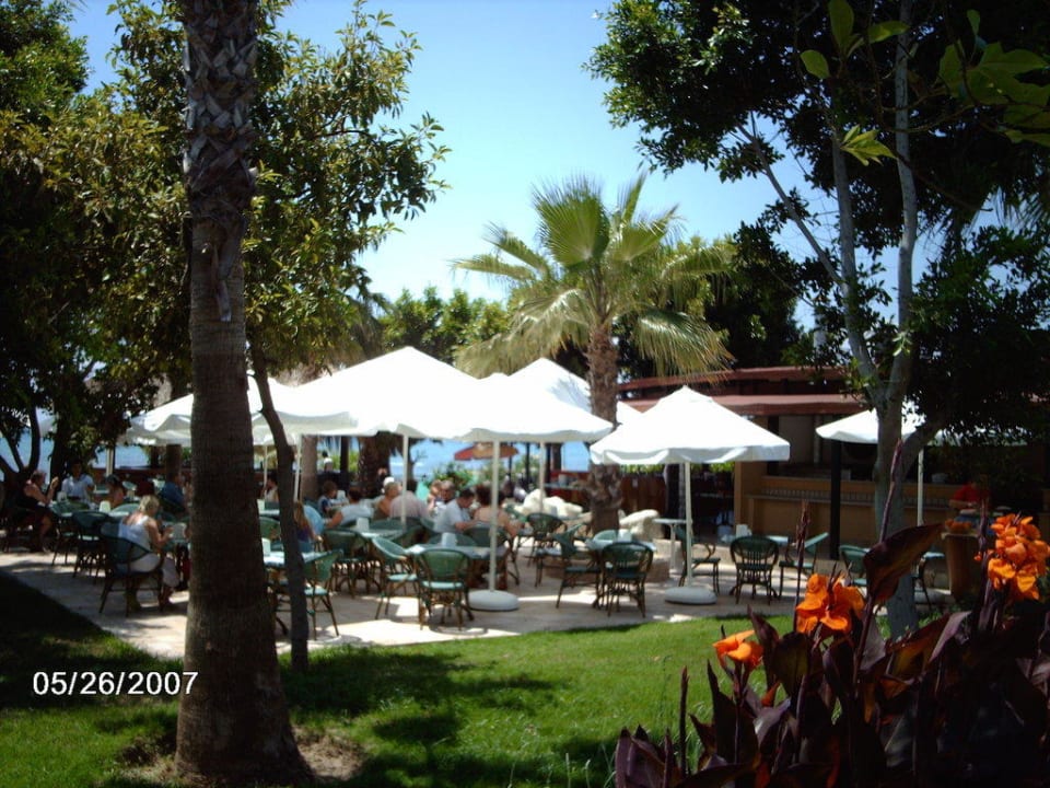Pool-Bar Hotel Grand Side